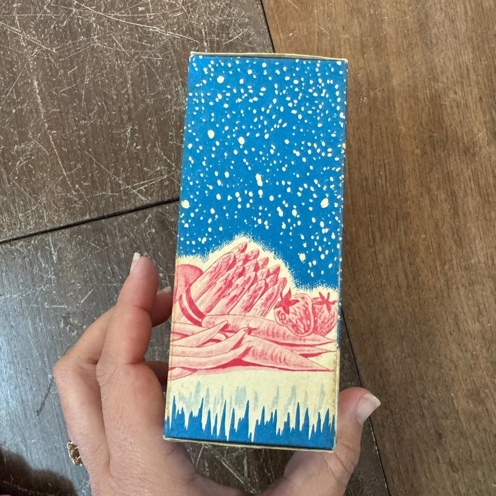 Vintage Kordite Freze Box One Quart‎ Vegetable Fruit Blue Red Decor
